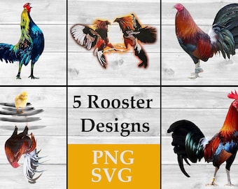 Gallo PNG Clipart / Diseño de gallo de pelea, SVG de pelea de gallos (5 archivos)