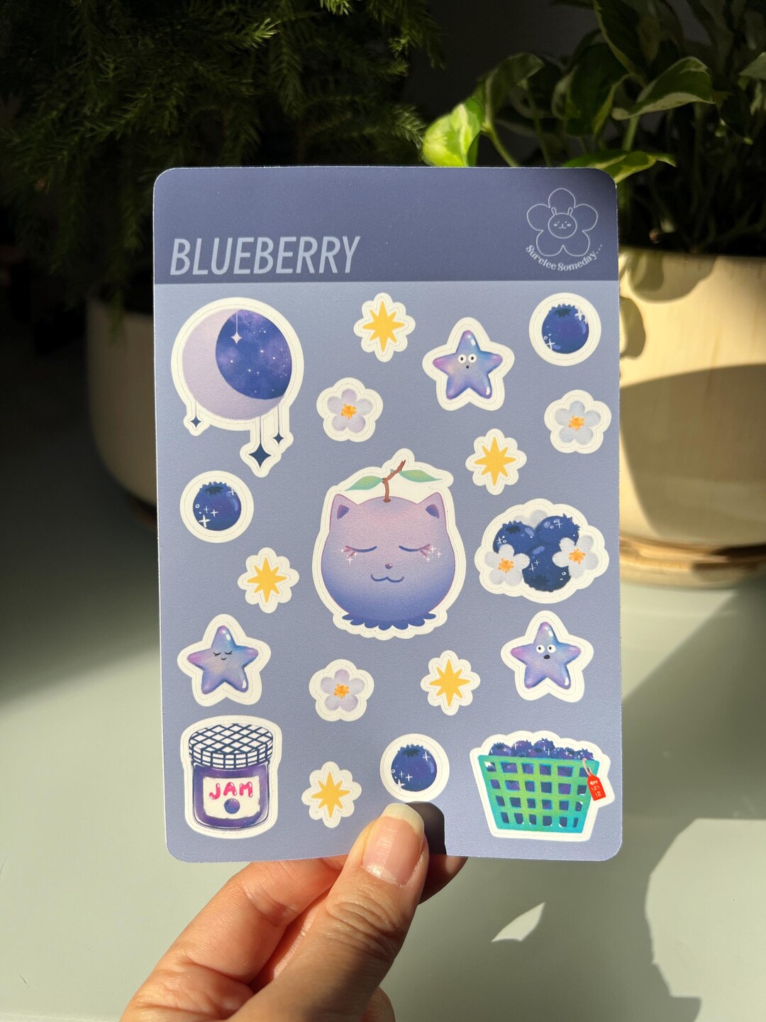 Blueberry Cat Sticker Sheet | Starry Planner Stickers - Etsy