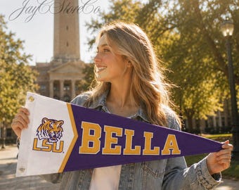 Custom Printed  College Pennant Flag, Personalized University Banner, Graduation Dorm Decor, Senior Gift