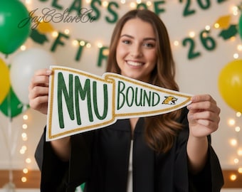 Custom College Decision Pennant Banner, College Bound Banner, Grad Party Decor, Bed Party Decor