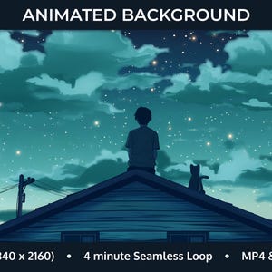Pode incluir: Um fundo animado com a silhueta de uma pessoa e um gato em um telhado sob um céu noturno estrelado com nuvens. O texto "4k (3840 x 2160)", "4 minutos de loop sem emendas" e "MP4 & PNG" é exibido na parte inferior da imagem.