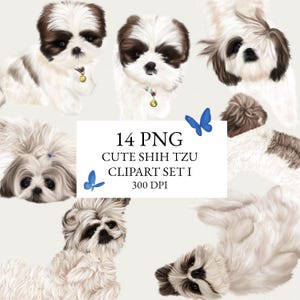 14 Shih Tzu Dog Clipart, Shih Tzu Clipart, Dog PNG, Hand Drawn Puppy Illustration, Pet Sublimation, Digital Download