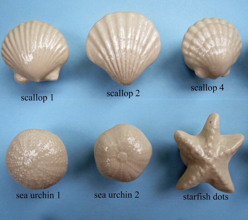 12 Porcelain Sea Shell Knobs, Select Any Style, Created by Nicole, Get