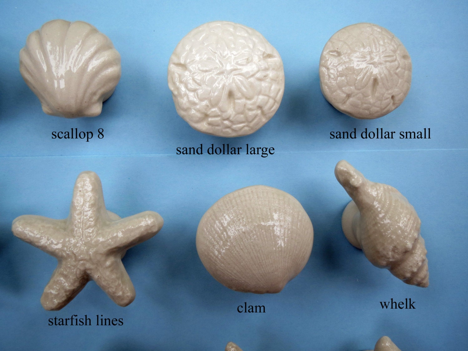 12 Porcelain Sea Shell Knobs, Select Any Style, Created by Nicole, Get ...