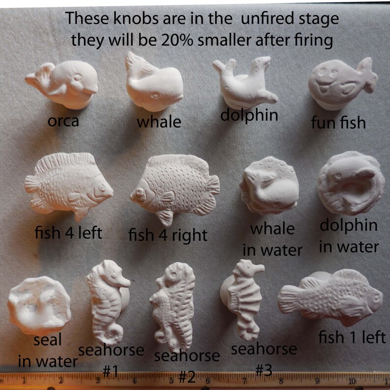 12 Porcelain Sea Shell Knobs Select Any Style Created by Etsy