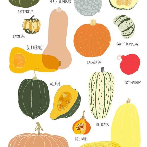 Winter Squash Poster