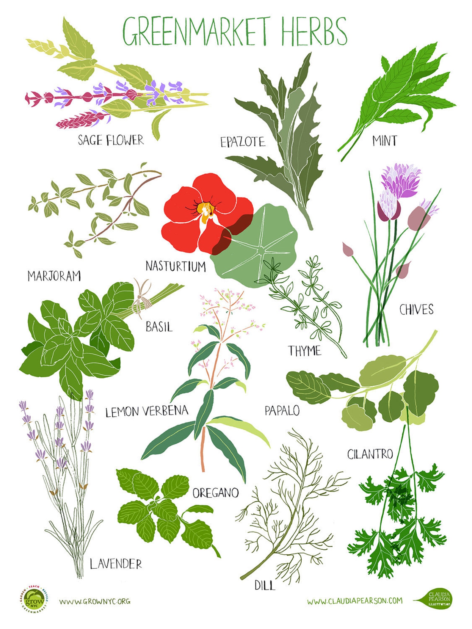 Herb Poster Etsy