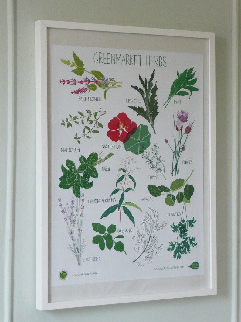 Herb Poster Etsy