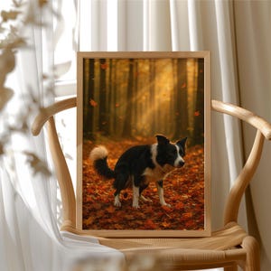 Póster de Border Collie haciendo caca en otoño, divertido arte mural de perro, impresión de perro haciendo caca en el bosque, decoración otoñal para perros, regalo de broma para amantes de los perros, HP-99