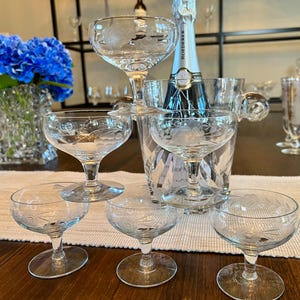 Vintage Champagne Coupes Etched Crystal Mid Century Cocktail Glasses Variety Set of 6 for Wedding Toasts or Bar Cart Display