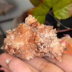 May include: A cluster of aragonite crystals, showcasing a blend of peach and white hues. The crystals have a spiky, radiating structure, with a rough, textured surface. The mineral formation is set against a blurred background of green and pink.
