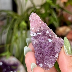 Alacam Amethyst Cluster | 49g