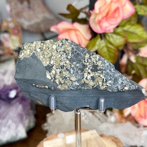 May include: A dark gray pyrite specimen with sparkling golden crystals. The mineral is displayed on a clear stand with a wooden base, with pink roses in the background. This unique piece is perfect for collectors.