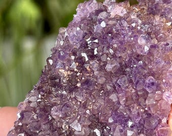 Alacam Amethyst Cluster | 55g