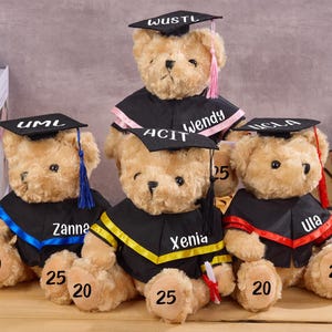 Custom Name Graduation Teddy Bear , Personalized Graduation Bear2025, Graduation Teddy Bear, Graduation Gifts for Grads.