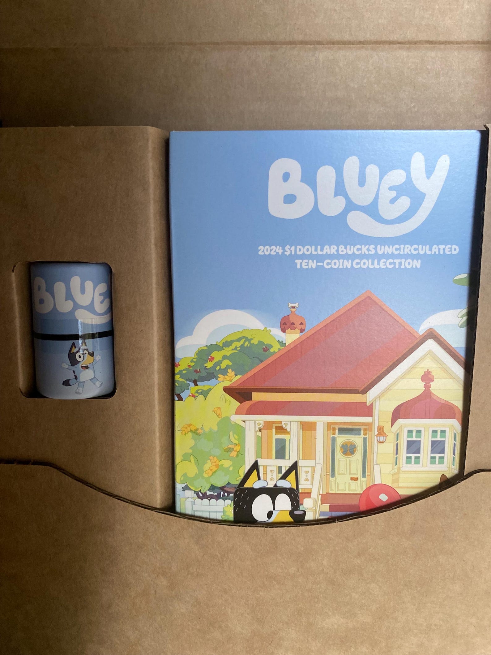 Bluey 10 Coin Tube and Folder Set - Etsy