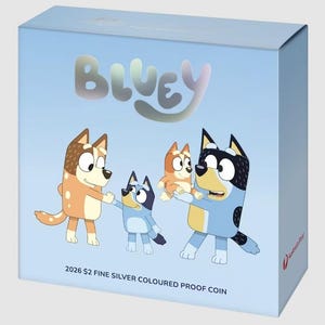 Bluey Silver Coin - Etsy