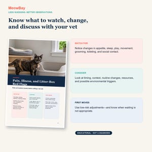 K&ouml;nnte beinhalten: Eine lehrreiche Infografik mit dem Titel MeowBay, die eine Schildpattkatze neben einer Katzentoilette zeigt. Sie enth&auml;lt Abschnitte zu Beobachtungen, &Uuml;berlegungen und ersten Schritten bei Anzeichen von Schmerzen, Krankheit und Problemen mit der Katzentoilette.