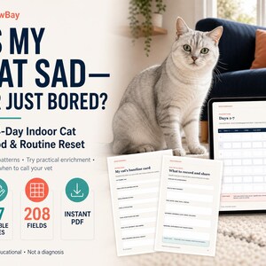 K&ouml;nnte beinhalten: Ein digitaler 14-Tage-Leitfaden f&uuml;r die Stimmung und Routine von Hauskatzen mit dem Titel Is My Cat Sad&mdash;Or Just Bored? mit einer silbernen Tabby-Katze, zwei ausgedruckten Seiten und einem Tablet, das einen 7-Tage-Tracker anzeigt.