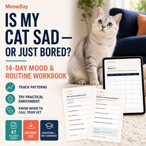 Verhaltensbeobachtung für Wohnungskatzen (PDF), Ist meine Katze traurig oder gelangweilt?, 14-Tage-Wohlbefindens-Arbeitsbuch, Planer für Beschäftigung und Tagesablauf Ihrer Katze Bild 1