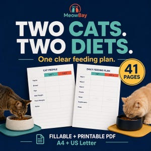 May include: A digital cat feeding planner with 41 pages in A4 and US Letter sizes. The document features a Cat Profile and Daily Feeding Plan for two cats, with text reading MeowBay, Two Cats. Two Diets. One clear feeding plan. Fillable + Printable PDF.