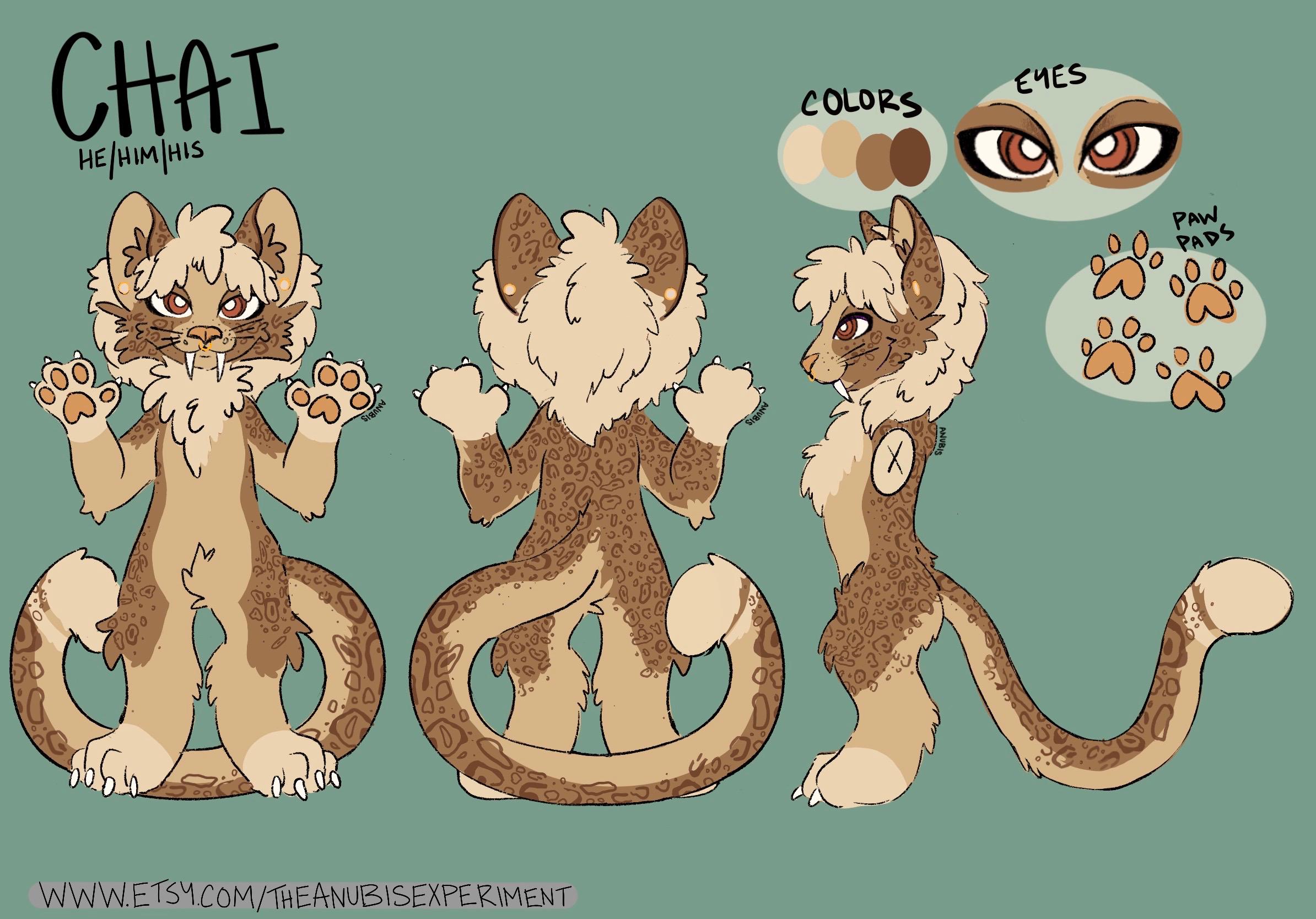 Digital Furry Character Reference Sheet - PLEASE READ DESCRIPTION - Etsy