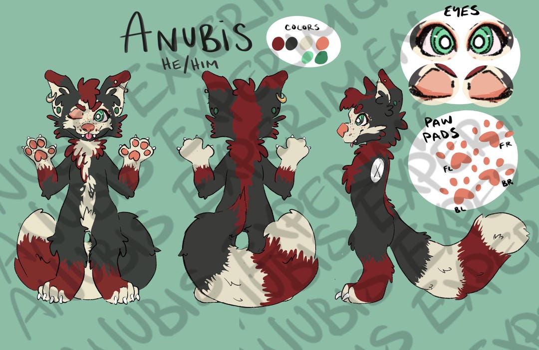 Digital Furry Character Reference Sheet - PLEASE READ DESCRIPTION - Etsy