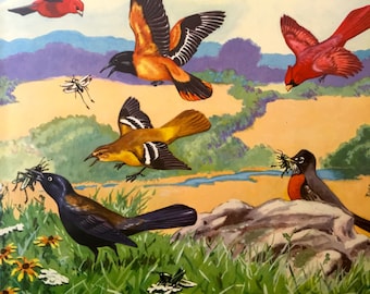 Flock of Birds ~Vintage Children's Print, Illustration, Book Plate ~Nursery decor ~ Jacob Bates Abbott ~ Birds at home 1942