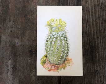 Vintage Petite Cactus Print ~ Flowering yellow Cactus~ Book Plate ~ Southwestern Decor
