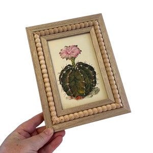 Stampa vintage di cactus con fiori rosa incorniciati ~ Piastra per libro incorniciata botanica originale ~ Decorazione sudoccidentale - Calda cornice in legno