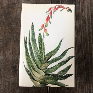 Vintage Petite Aloe Print ~ Orange flowering Aloe~ Book Plate ~ Southwestern Decor