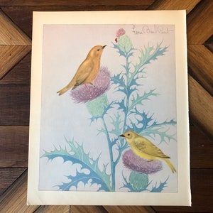 Vintage Vogel print ~ Gele Grasmus ~ Kinderprint, Illustratie, Boekplaat ~ Natuurdecor ~ Fern Bisel Turf ~ Cadeau voor vogelliefhebber