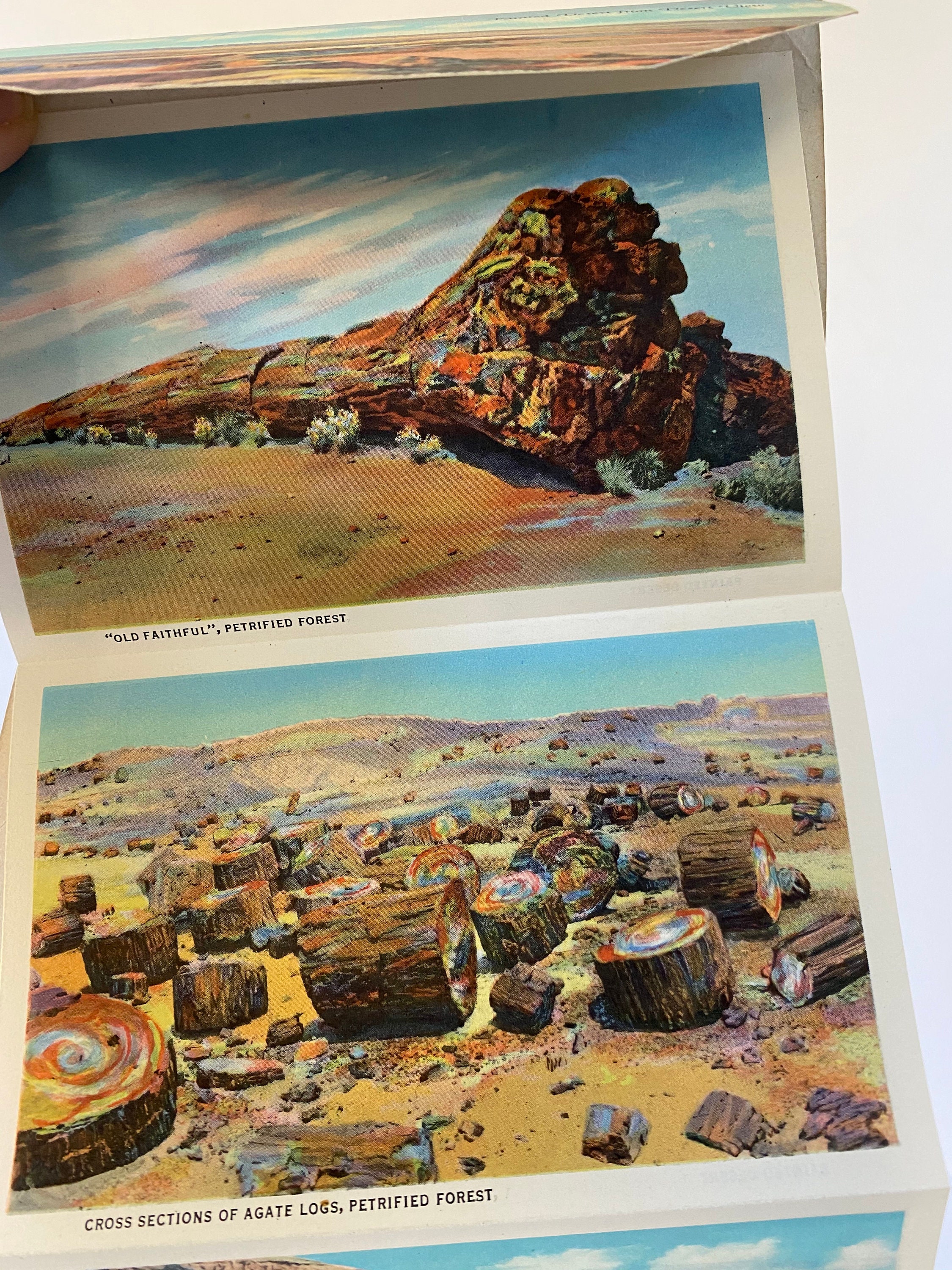 Vintage Painted Desert & Petrified Forest Postcard~ View book Souvenir of Arizona ~ Southwestern Colorized photo book