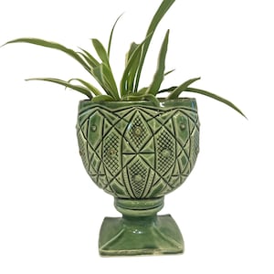 Könnte beinhalten: Ein grüner Keramik-Pflanztopf mit geometrischem Muster und Sockel. Der Pflanztopf ist mit einer grünen Pflanze mit langen, schlanken Blättern gefüllt. Der Pflanztopf ist etwa 20 cm hoch.