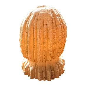 May include: A light tan, textured ceramic sculpture shaped like a barrel cactus. The object features vertical ribs with a rough, porous surface finish and a flared, scalloped base. The overall form is rounded and cylindrical, resembling a desert plant.