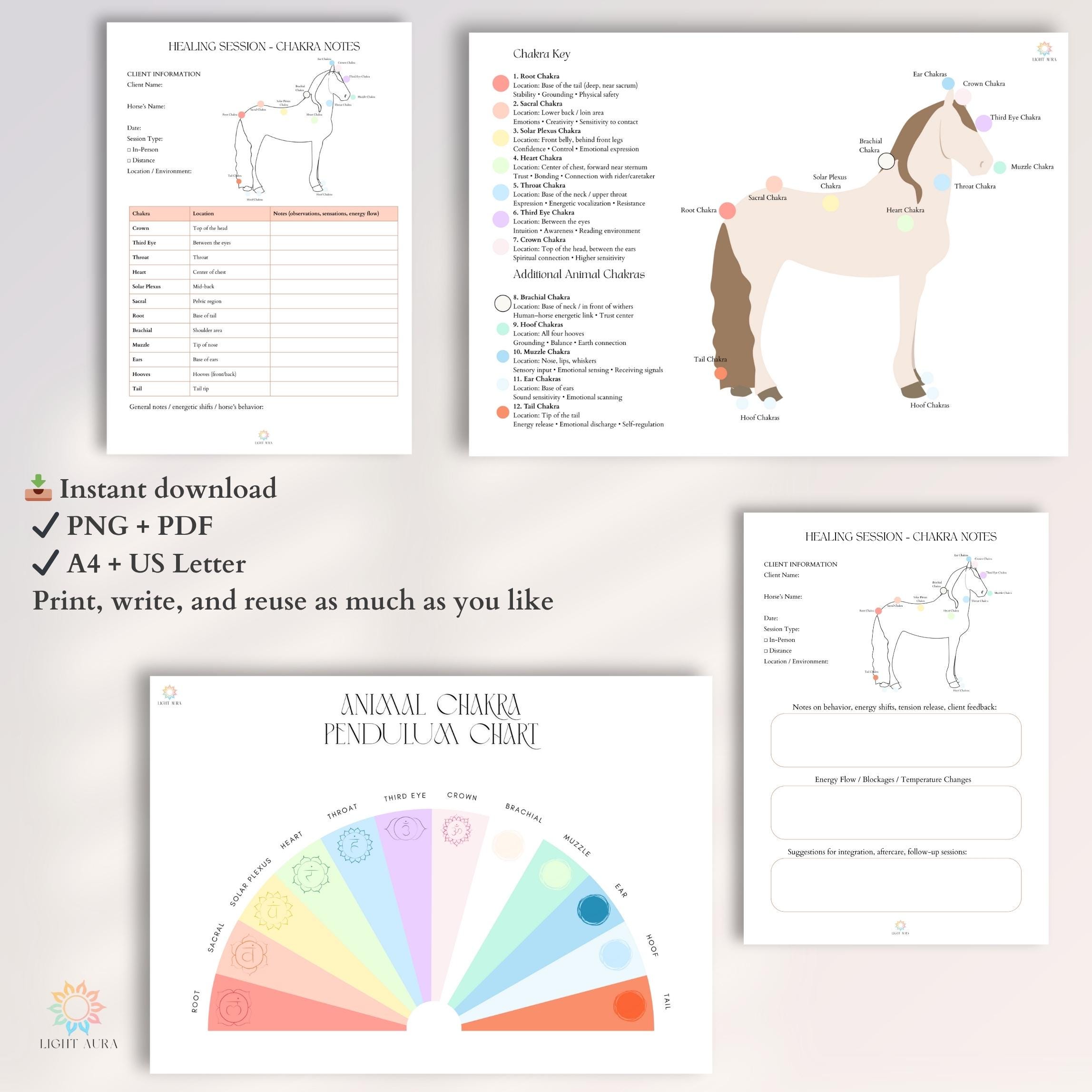 Horse Reiki Session Notes – Printable Equine Chakra Worksheet | Animal ...