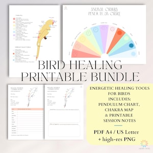 May include: A printable bundle for bird healing, featuring a chakra map, pendulum chart, and session notes. The design includes a colorful chakra diagram and a detailed bird illustration. The text reads "Bird Healing Printable Bundle".