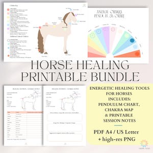 Notes de séance de Reiki pour chevaux – Feuille de travail imprimable sur les chakras équins | Modèle de guérison énergétique animale (PDF + PNG) A4 et US Letter