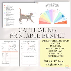 Notas de la sesión de Reiki canino – Hoja de trabajo imprimible de los chakras del gato | Rastreador de sanación energética PDF + PNG A4 y carta EE. UU. | Hoja de Reiki para animales