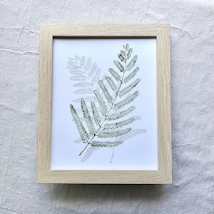 Ink and Watercolor Fern - Original Artwork Print