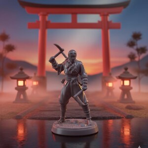 May include: A gray ninja figurine holding two weapons, set against a Japanese-style backdrop with a red torii gate and lanterns. The figure is detailed, with a focus on the ninja's attire and weaponry.