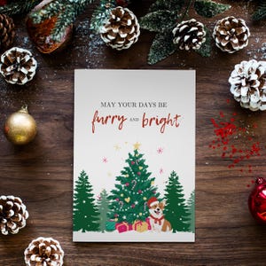Furry and Bright Corgi Christmas Cards - Pack of 10 Holiday Cards