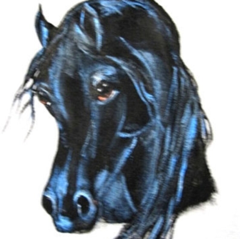 ARABIAN hORSE ART tee shirt hand painted Black arabian