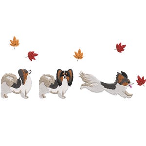May include: Three papillon dogs with black, white, and brown fur are playing in a field of autumn leaves. The leaves are red, orange, and yellow. The dogs are running and jumping in the air.