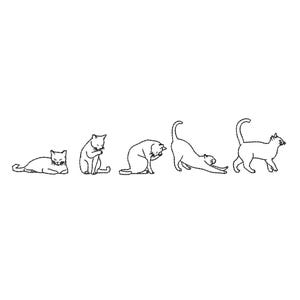 May include: A series of five black line drawings of cats in various poses. The cats are shown lying down, grooming, stretching, and walking. The drawings are on a white background.