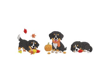 Bernese Mountain Dog Embroidery Design pes dst vp3 hus Autumn Puppy Machine Embroidery Design Chasing Fall Leaves Pumpkin Digital Download