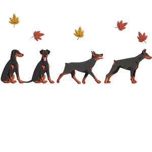 Puede incluir: Tres perros Doberman Pinscher negros y marrones, dos sentados y uno de pie, con un fondo de hojas de otoño amarillas y naranjas.