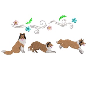 May include: Three brown and white Collie dogs with black noses and pink tongues. The dogs are in different poses, one is sitting, one is lying down, and one is running. The dogs are in front of a white background with a decorative border of green leaves, blue and pink flowers, and white swirls.