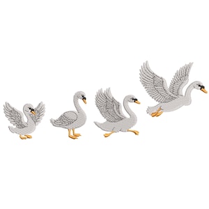 Pode incluir: Quatro cisnes brancos em diferentes poses, com um cisne voando no ar, um cisne em pé com o pescoço curvado e dois cisnes andando no chão.