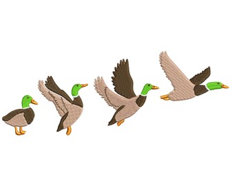 May include: Four brown and white ducks with green heads are flying in a line. The ducks are in different positions, with some flying higher than others.